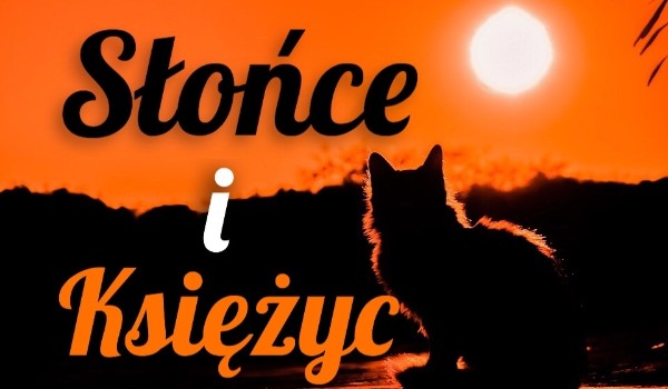 Słońce i księżyc #9