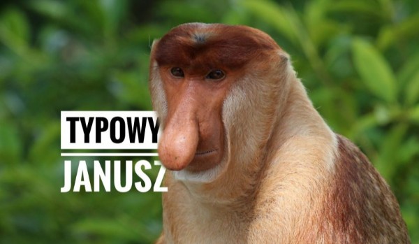 Czy jesteś jak Typowy Janusz?