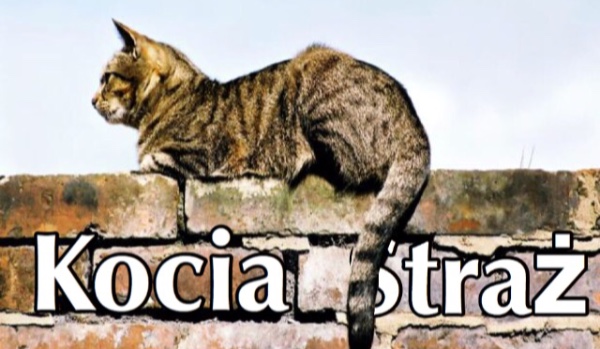 Kocia Straż •1•
