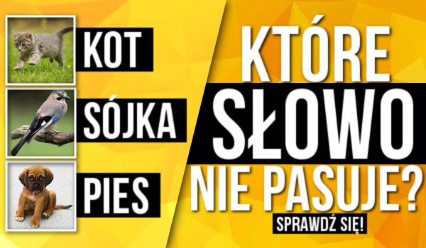 Które słowo nie pasuje?