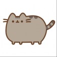 Pusheen_08