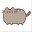 Pusheen_08