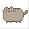 Pusheen_08