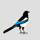Magpie