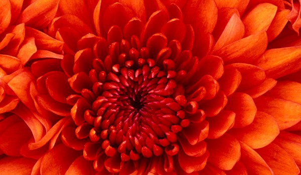 test dla moich znajomych