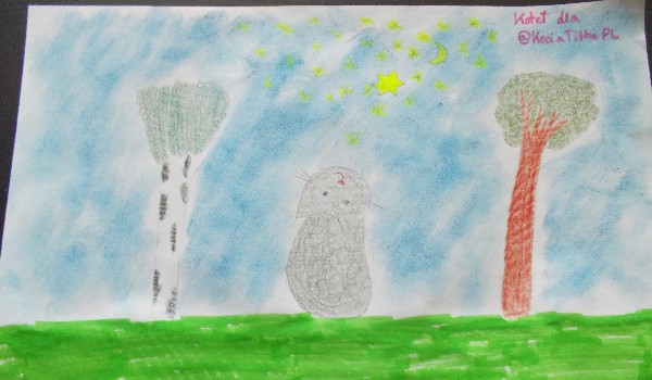 Koteł dla @KociaTitkaPL