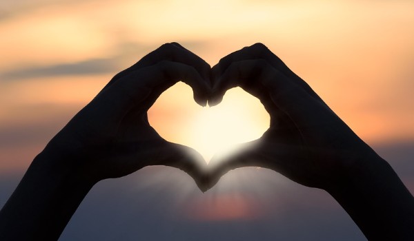 Say you love me #Prolog