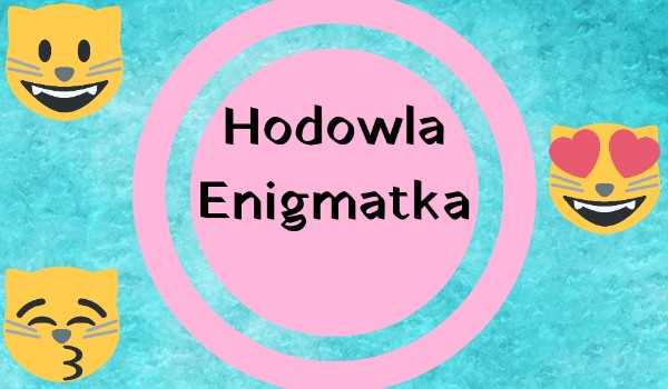 Hodowla Enigmatka