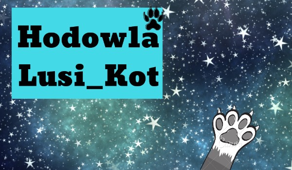 Hodowla Lusi_Kot