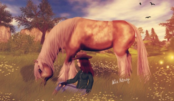 Jesteś mistrzem Star Stable Online ?
