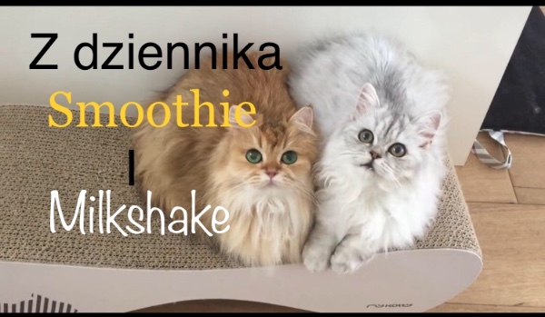 Z dziennika Smoothie i Milkshake #7 1/3