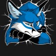 BlueFoxy