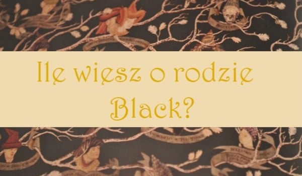 Ile wiesz o rodzie Black?