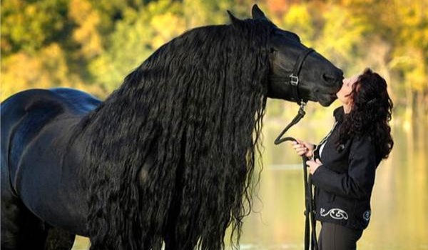 Czy jesteś dobrym jeźdźcem?