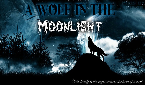 A Wolf In The Moonlight ~ Mysterious boy v.2