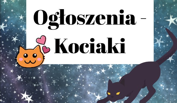 Ogłoszenia – kociaki