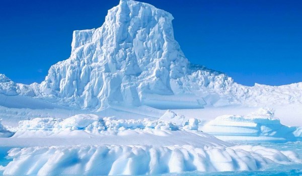 Czy przeżyłbyś na arktycznej wyspie?