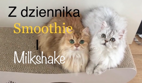 Z dziennika Smoothie & Milkshake #5 2/3