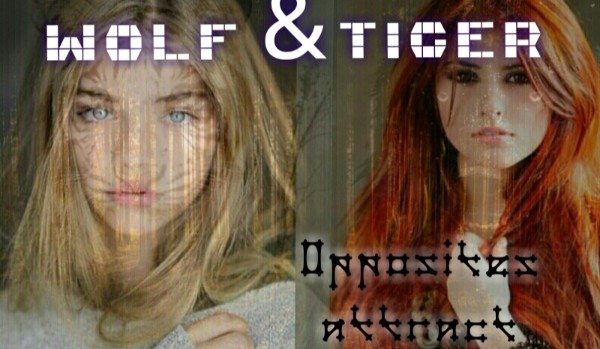 Wolf&Tiger ~ Opposites attrak #Prolog