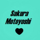 Sakura_Motoyoshi