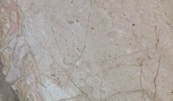 Jaka rasa psa do ciebie pasuje ??