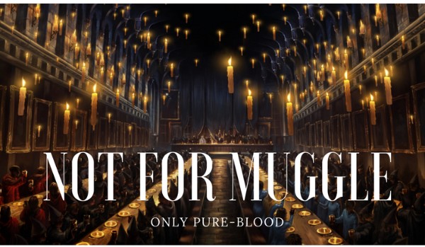 NOT FOR MUGGLE [2]