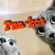 Pan-kot