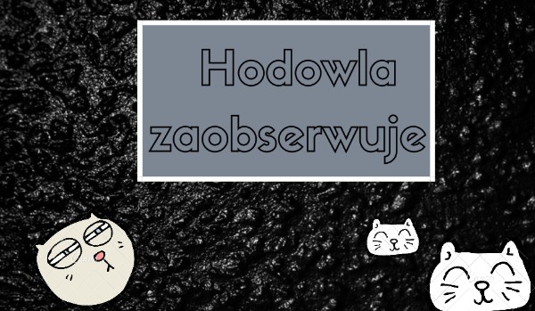 Hodowla zaobserwuje