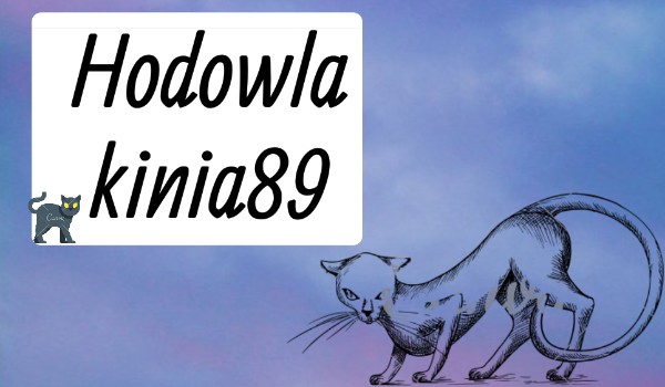 Hodowla kinia89