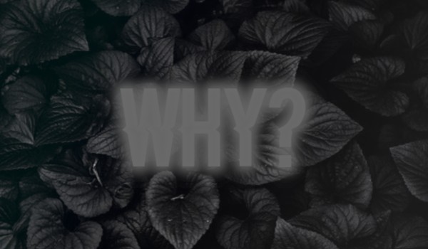 Why?