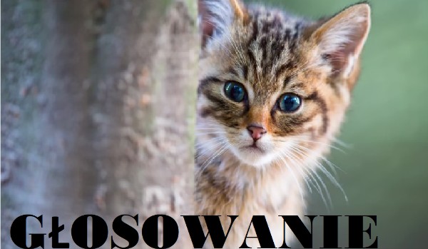 Informacja na temat naszej nowej serii