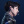 JUNGKOOK_LOV