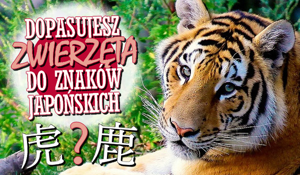 Dopasujesz nazwy zwierząt do znaków japońskich?