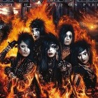 BVBforever