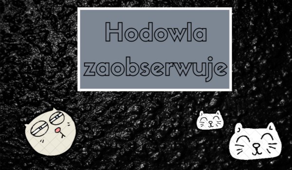 Hodowla zaobserwuje