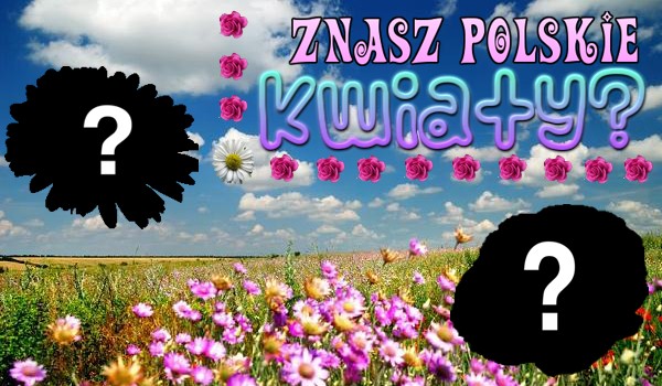 Czy umiesz rozpoznać kwiaty występujące w Polsce?