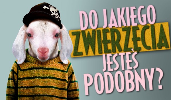 Do jakiego zwierzęcia jesteś podobny?