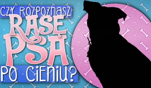 Czy rozpoznasz rasę psa po cieniu?