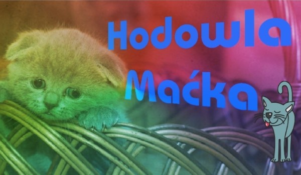 Hodowla Maćka