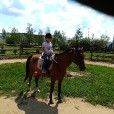 Zuzannahorse