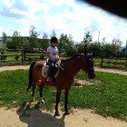 Zuzannahorse