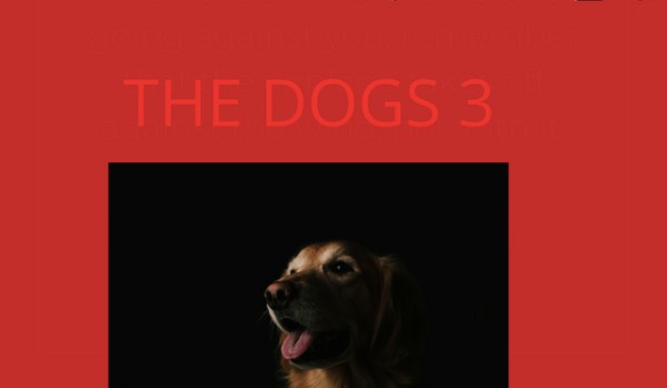 The Dogs #3