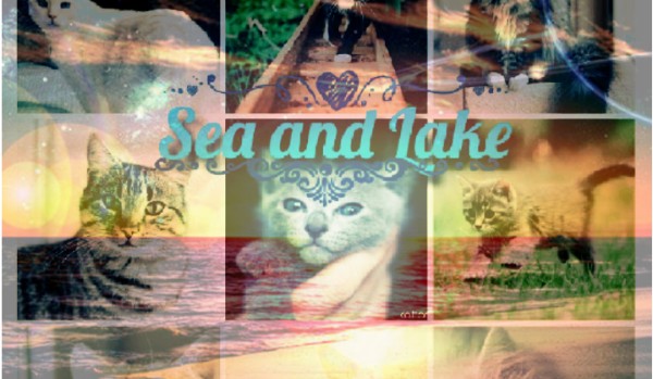 Sea and Lake #11