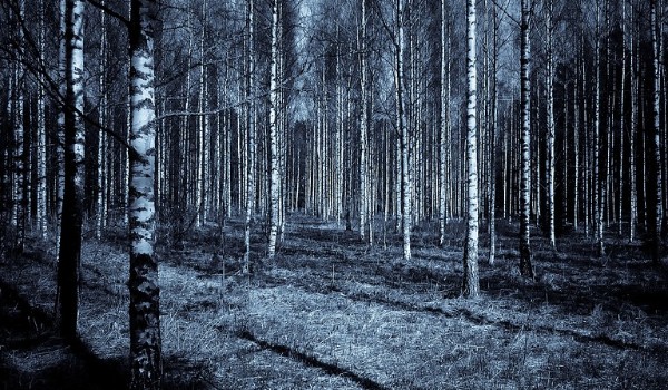 Ciekawość jest śilniejsza #2