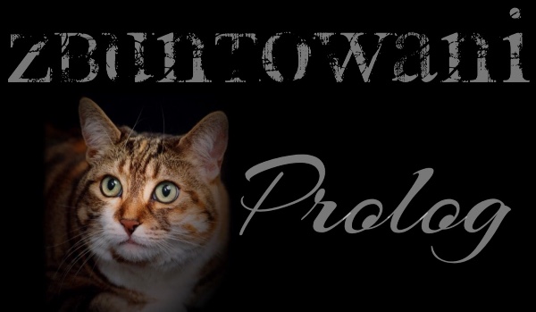 Zbuntowani ~Prolog~