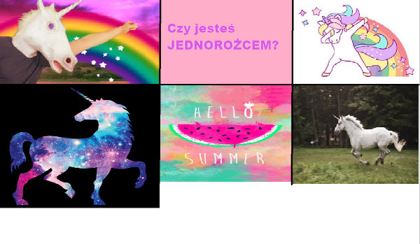 czy jesteś jednorożcem?