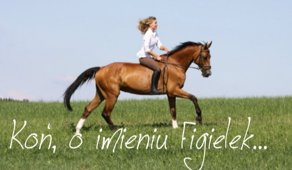 Koń o imieniu Figielek #2