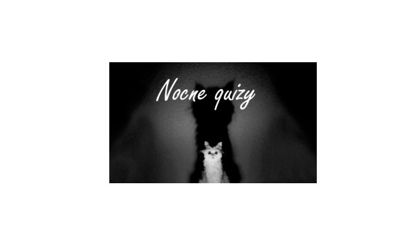 Nocne Quizy #3