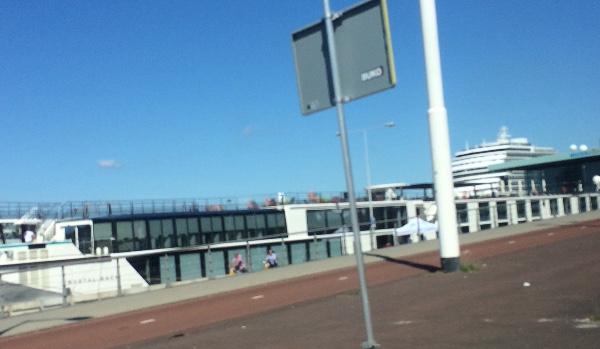 Czy jesteś królem sucharów