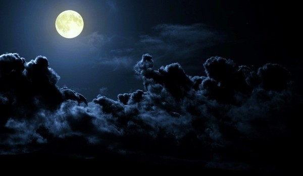 Would you play a game#1